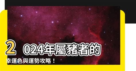 豬年幸運顏色|【屬豬 顏色】速查2024屬豬運勢指南：幸運色、財位、禁忌